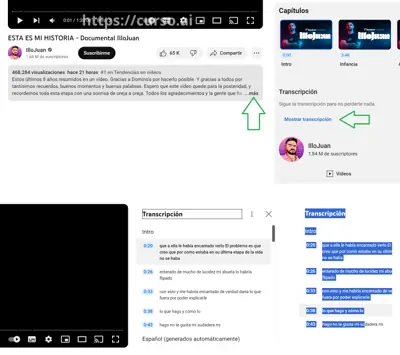 Resume un vídeo de YouTube