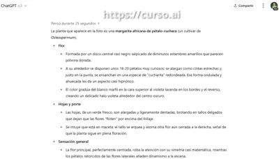 Subir foto y pedir descripción