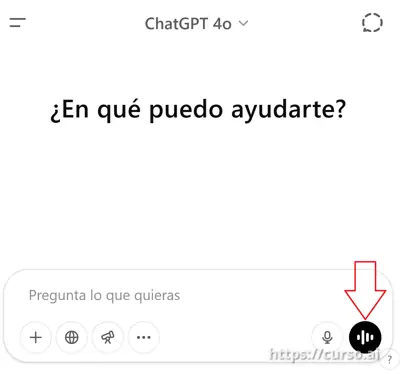 Usa tu voz